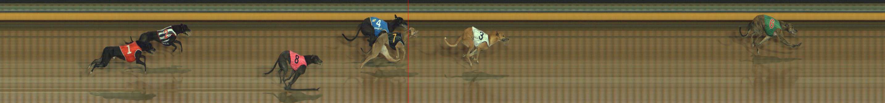 Photo finish for Bendigo Race 3