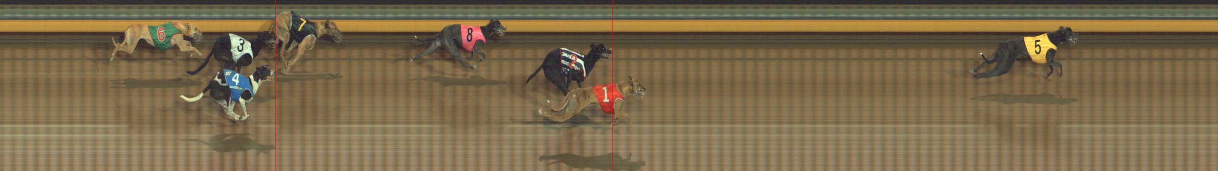 Photo finish for Bendigo Race 5