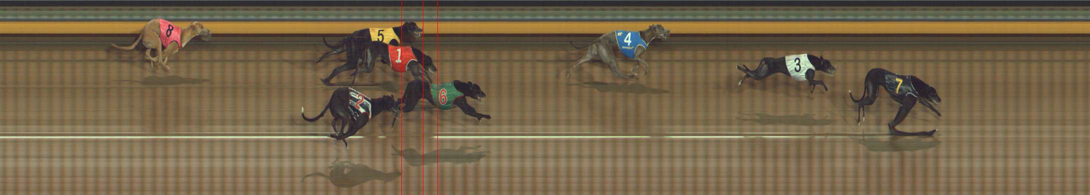 Photo finish for Bendigo Race 6