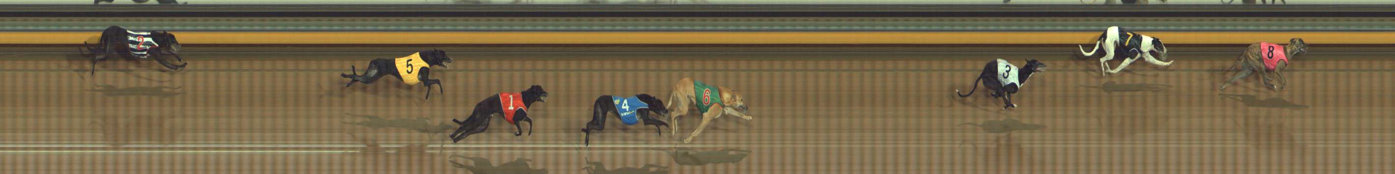Photo finish for Bendigo Race 7