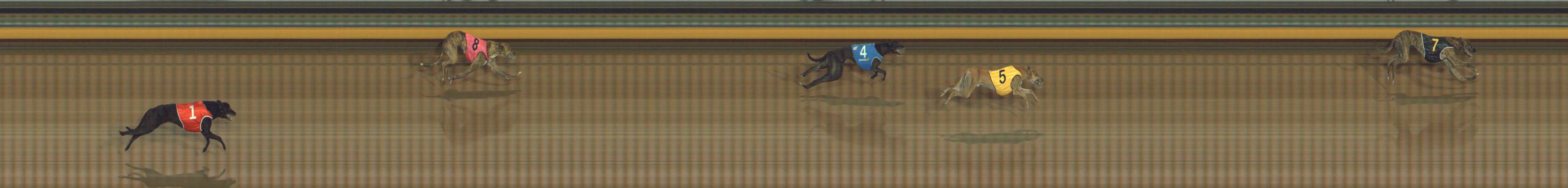 Photo finish for Bendigo Race 9