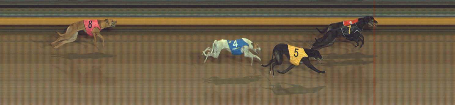 Photo finish for Bendigo Race 10