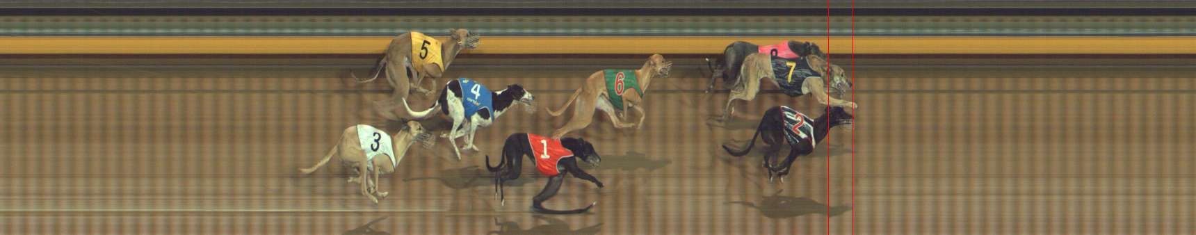 Photo finish for Bendigo Race 11