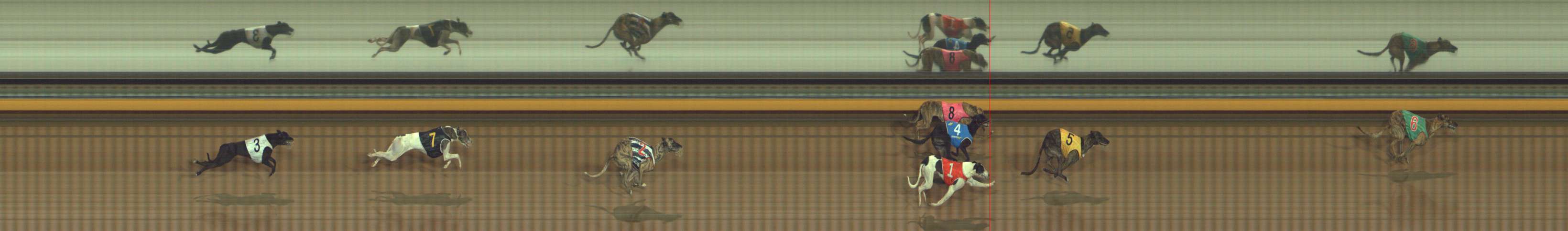 Photo finish for Bendigo Race 12