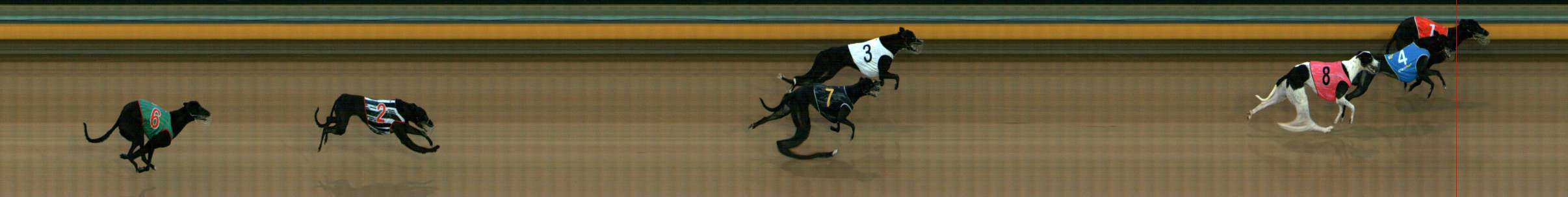 Photo finish for Bendigo Race 1