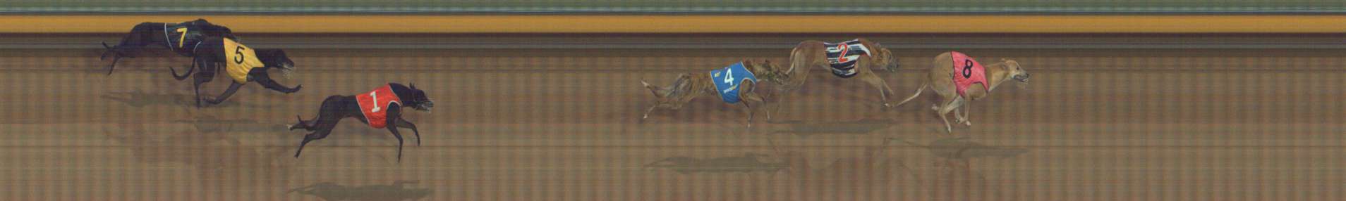 Photo finish for Bendigo Race 2