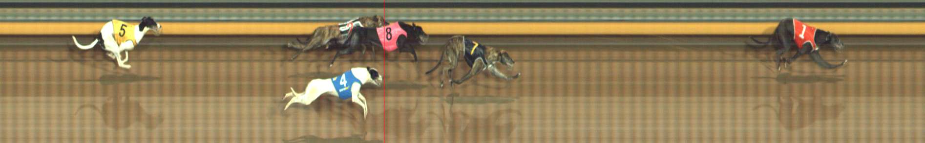 Photo finish for Bendigo Race 3