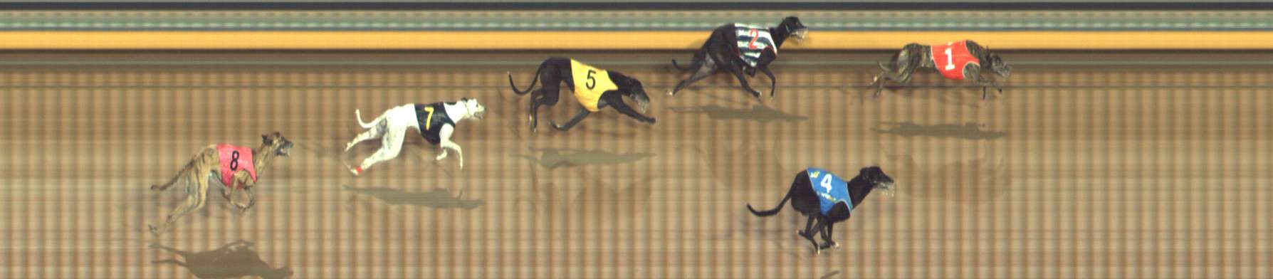 Photo finish for Bendigo Race 4