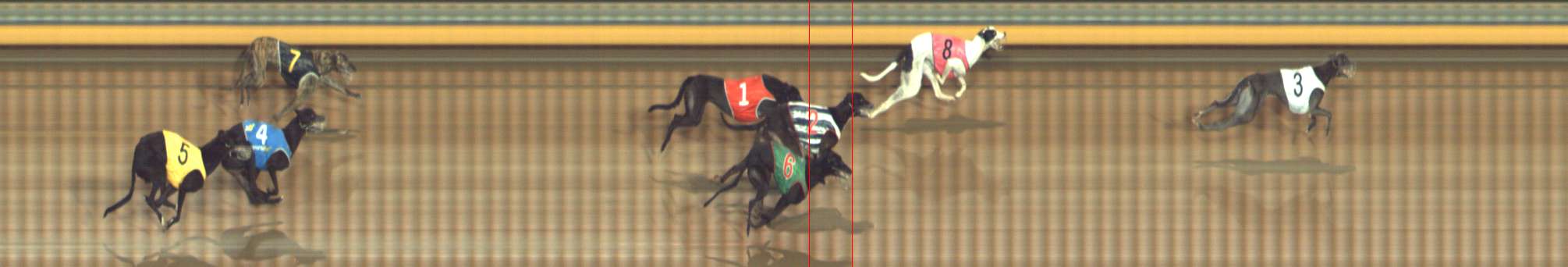 Photo finish for Bendigo Race 5