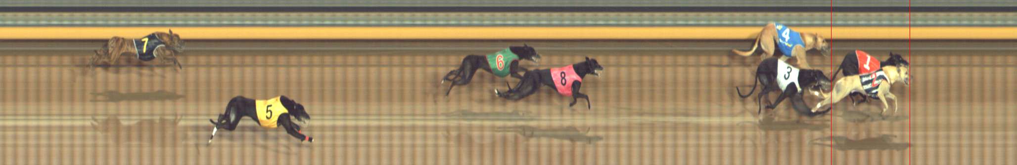 Photo finish for Bendigo Race 6