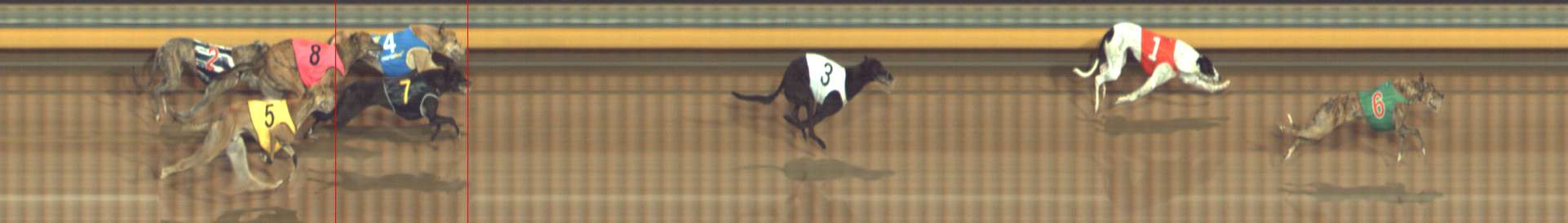 Photo finish for Bendigo Race 7
