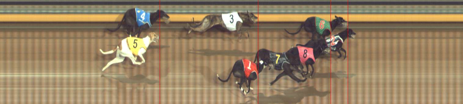 Photo finish for Bendigo Race 8