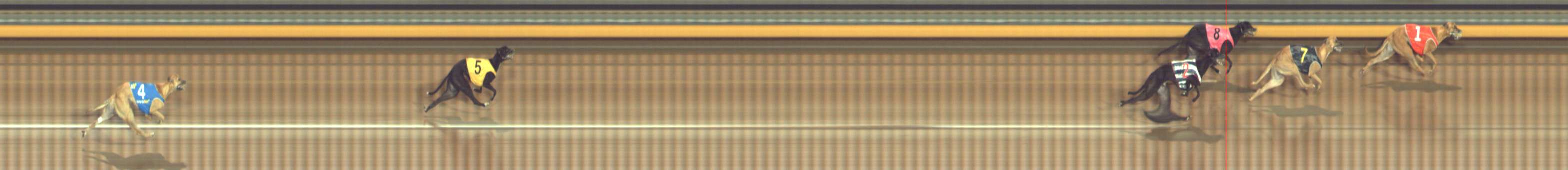 Photo finish for Bendigo Race 10