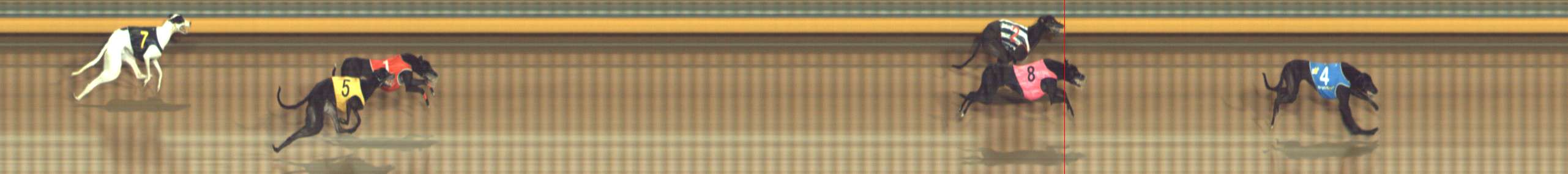 Photo finish for Bendigo Race 11