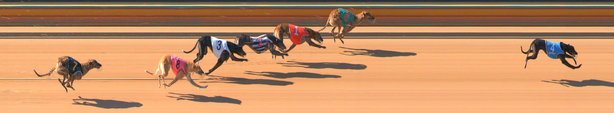 Photo finish for Bendigo Race 1
