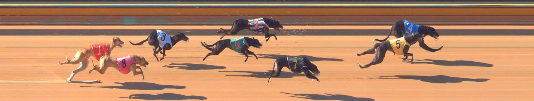 Photo finish for Bendigo Race 2