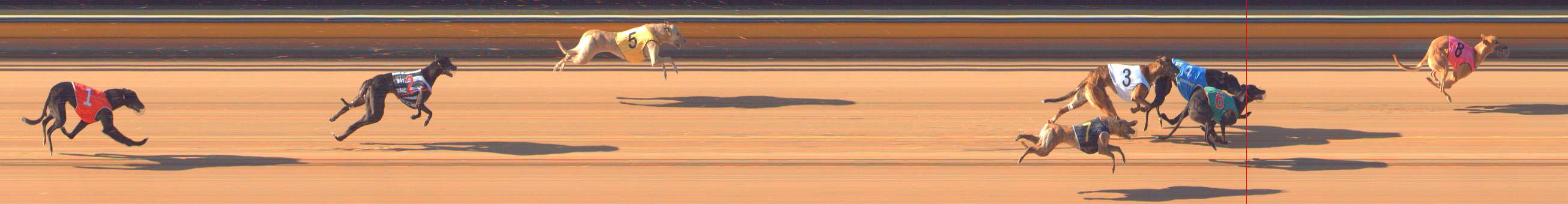 Photo finish for Bendigo Race 4