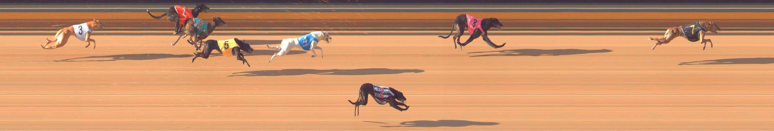 Photo finish for Bendigo Race 5