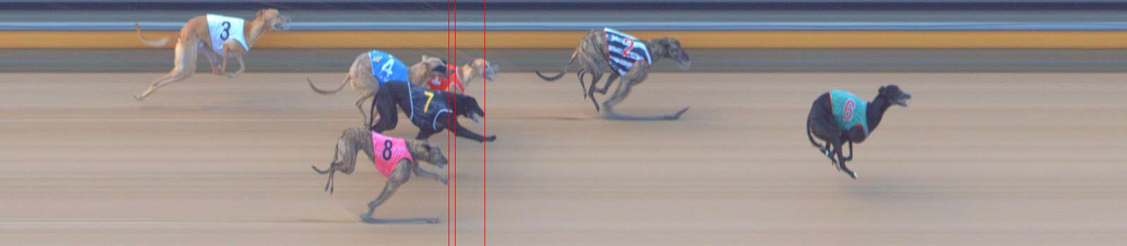 Photo finish for Bendigo Race 7