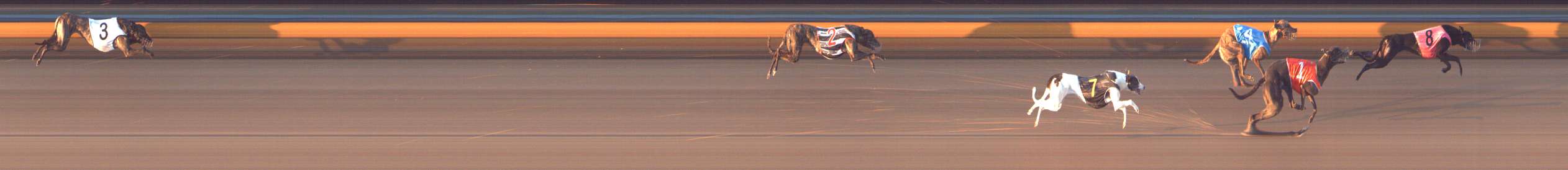 Photo finish for Bendigo Race 9
