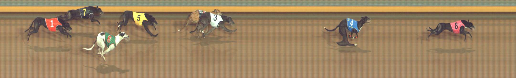 Photo finish for Bendigo Race 11