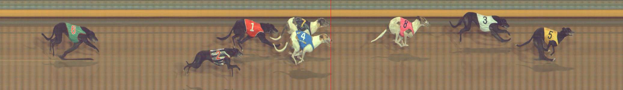 Photo finish for Bendigo Race 13