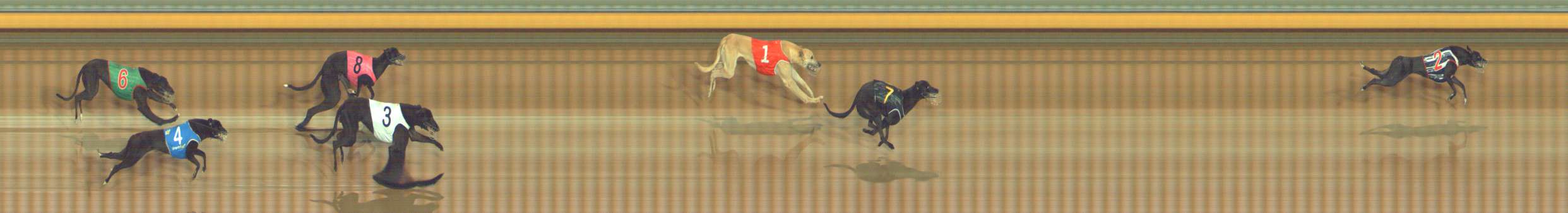 Photo finish for Bendigo Race 1