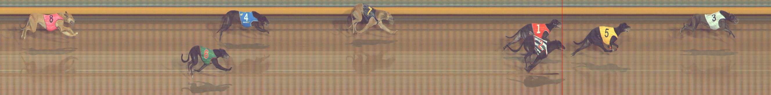 Photo finish for Bendigo Race 5
