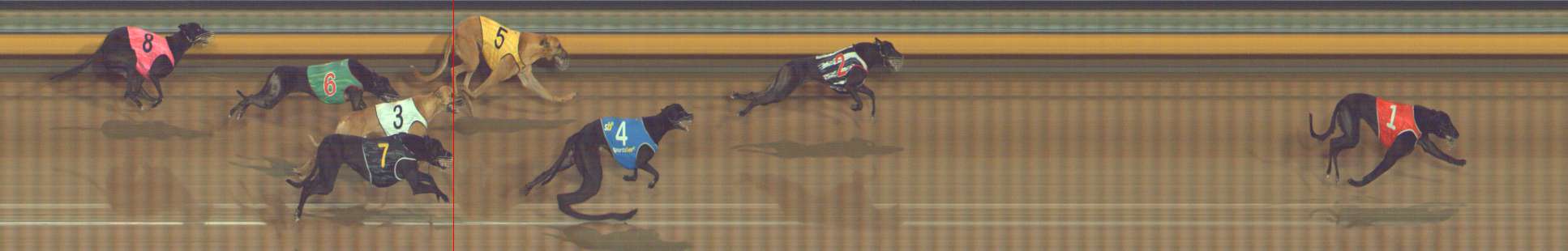 Photo finish for Bendigo Race 6