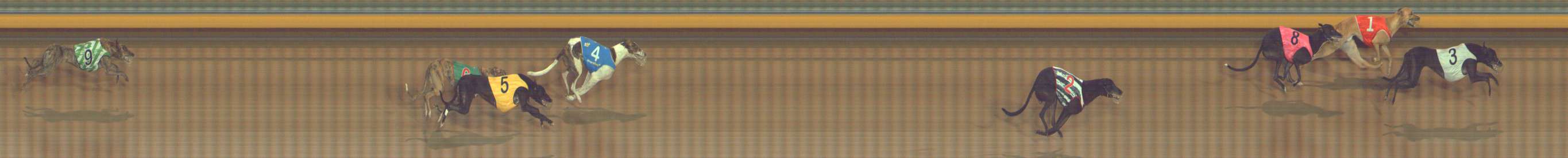 Photo finish for Bendigo Race 9