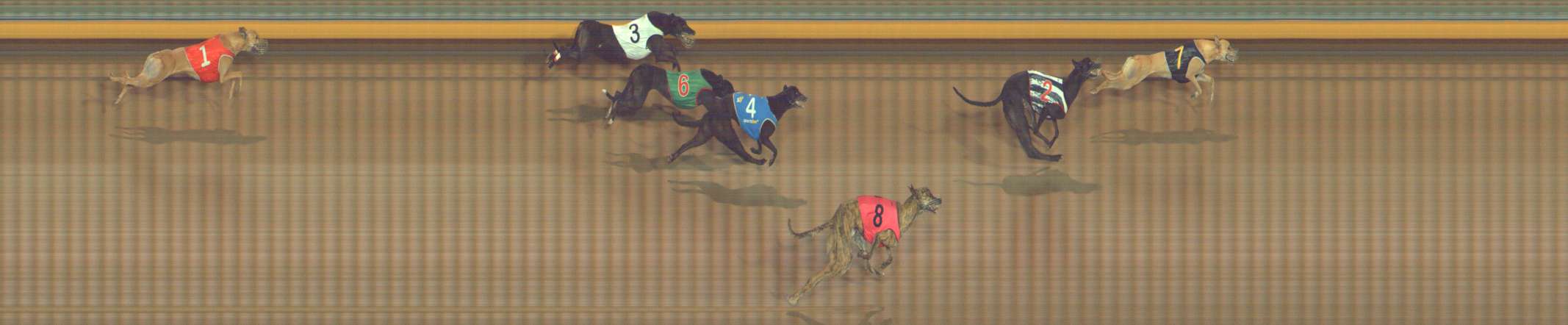 Photo finish for Bendigo Race 11