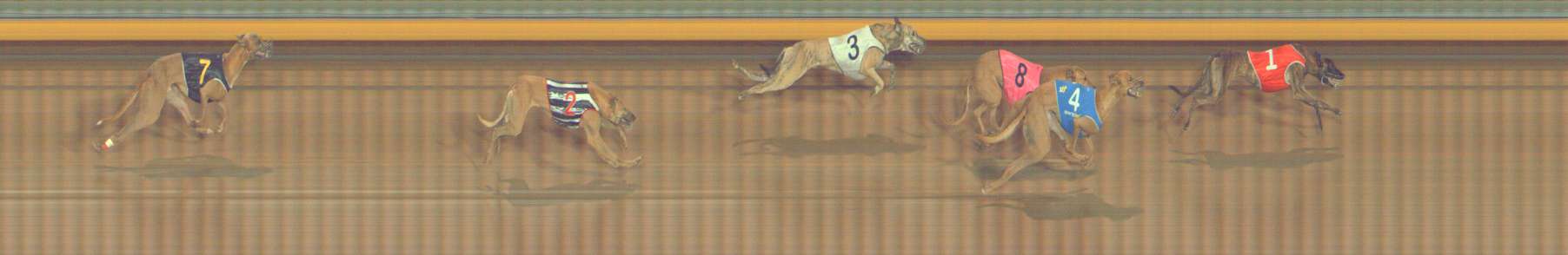 Photo finish for Bendigo Race 12