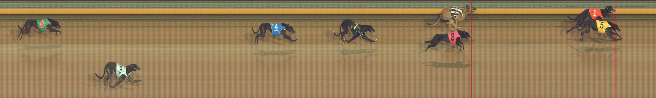 Race result finish photo