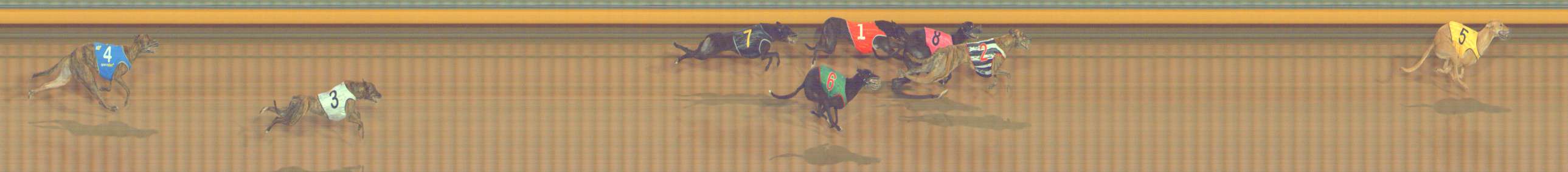 Photo finish for Bendigo Race 4