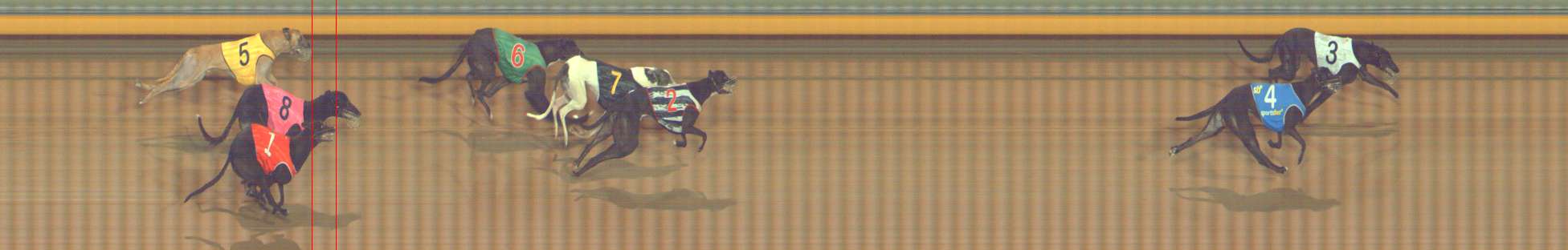 Photo finish for Bendigo Race 5
