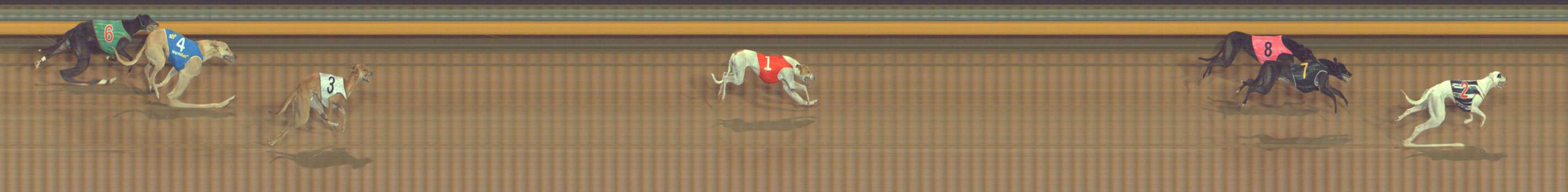 Photo finish for Bendigo Race 6