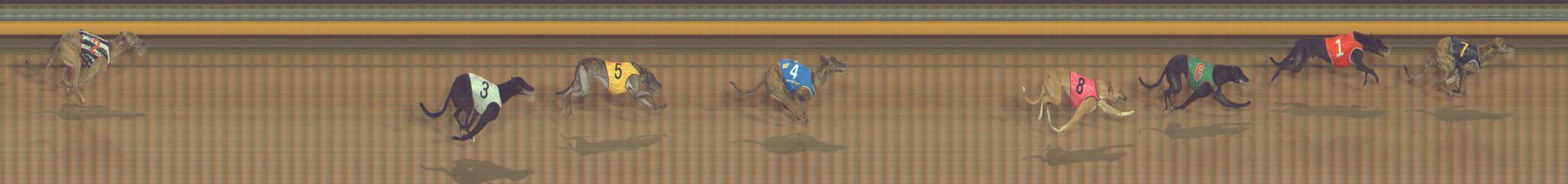 Photo finish for Bendigo Race 7