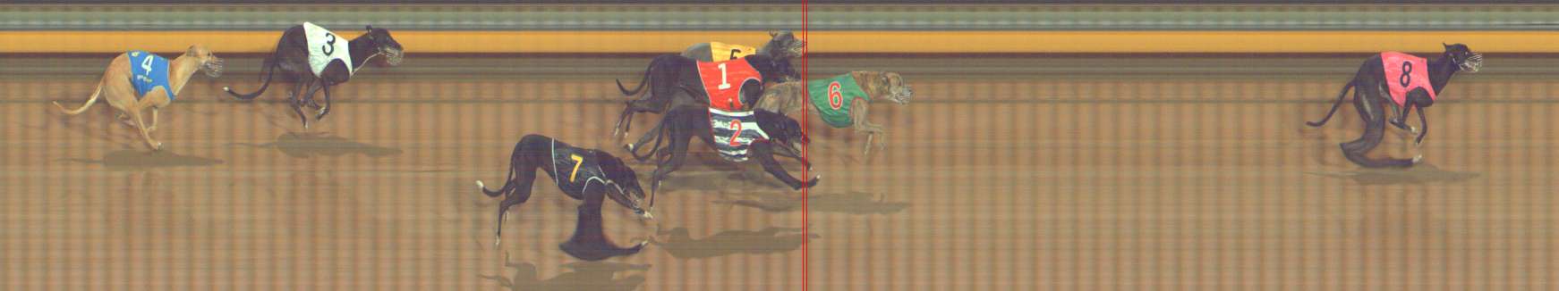 Photo finish for Bendigo Race 8