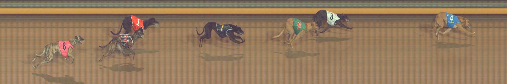 Photo finish for Bendigo Race 10