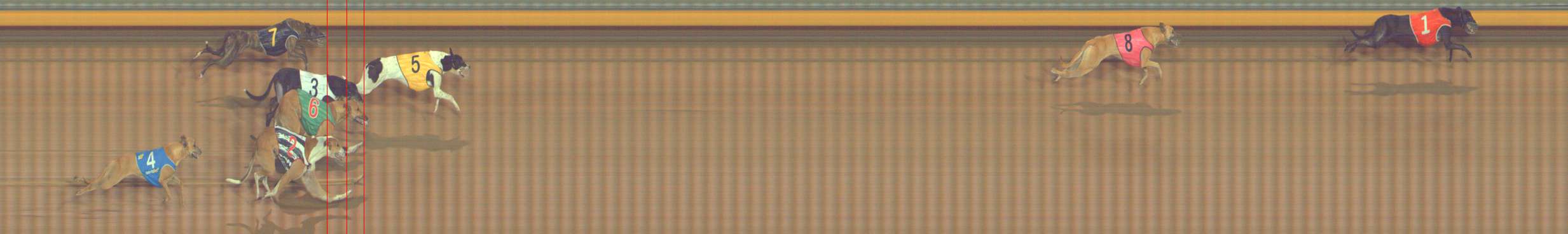Photo finish for Bendigo Race 11
