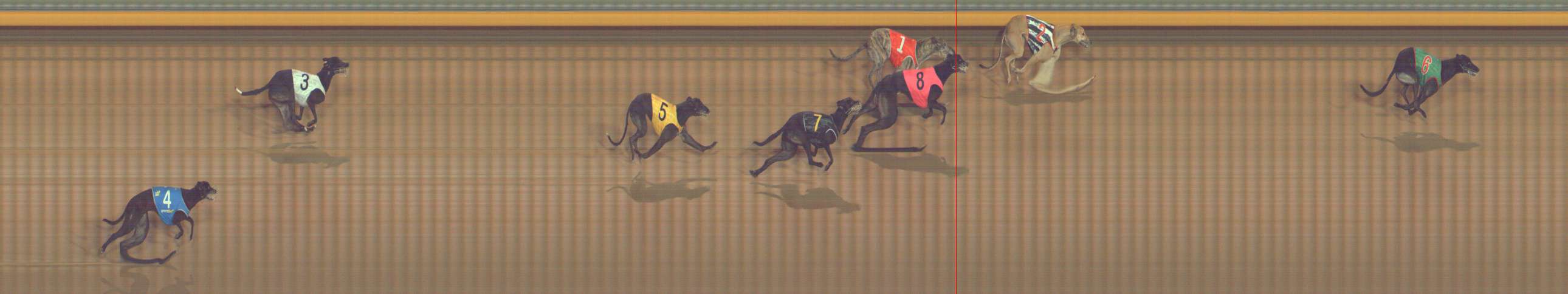 Photo finish for Bendigo Race 12