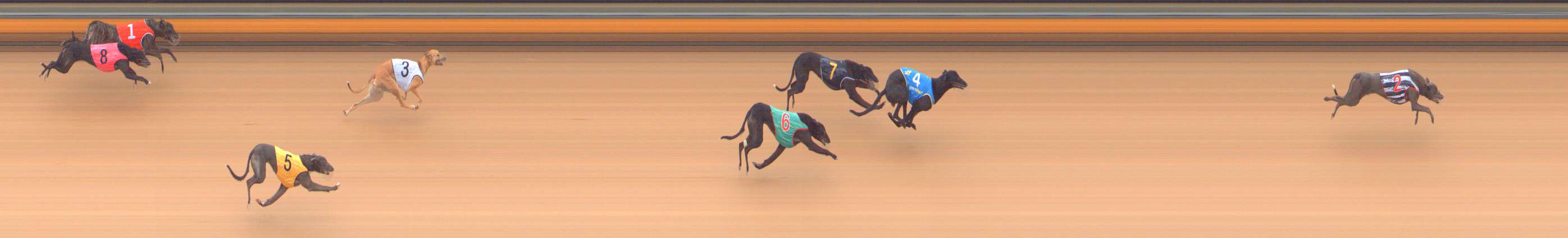 Photo finish for Bendigo Race 2