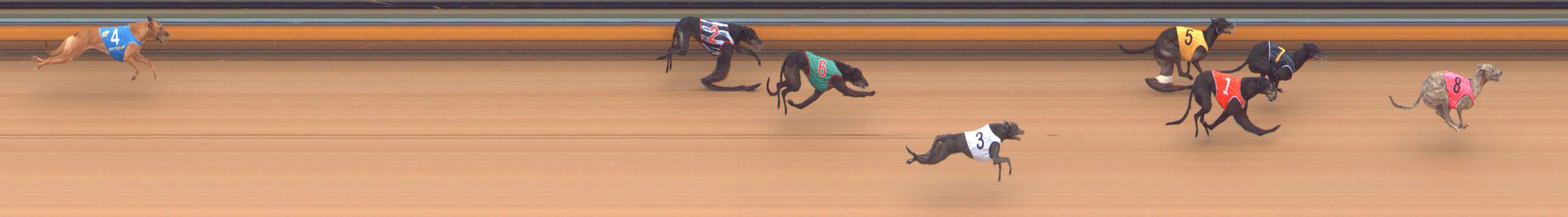 Photo finish for Bendigo Race 3
