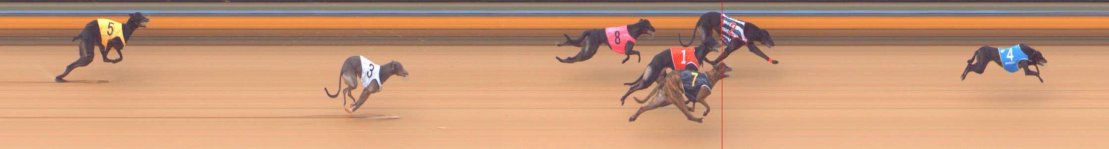 Photo finish for Bendigo Race 5