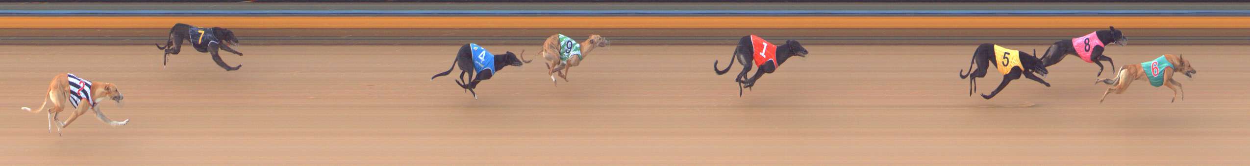 Photo finish for Bendigo Race 6