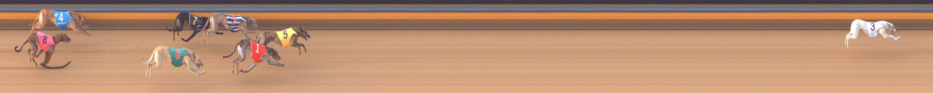 Photo finish for Bendigo Race 7