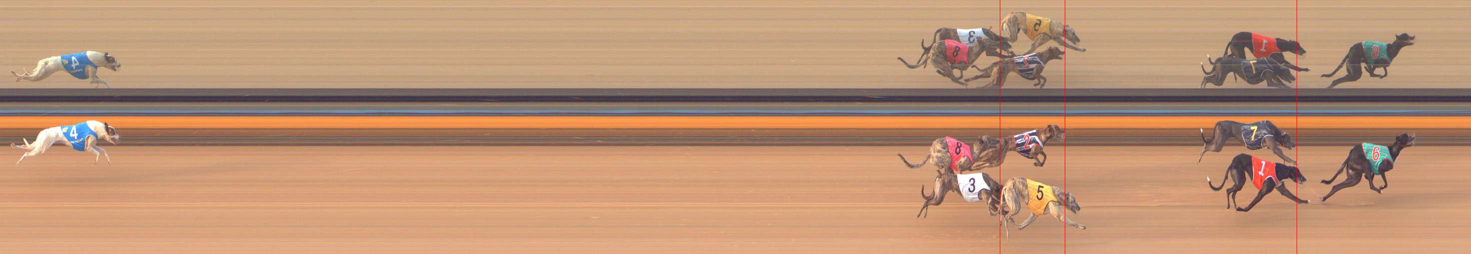 Photo finish for Bendigo Race 8
