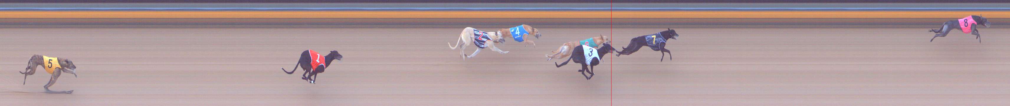 Photo finish for Bendigo Race 9
