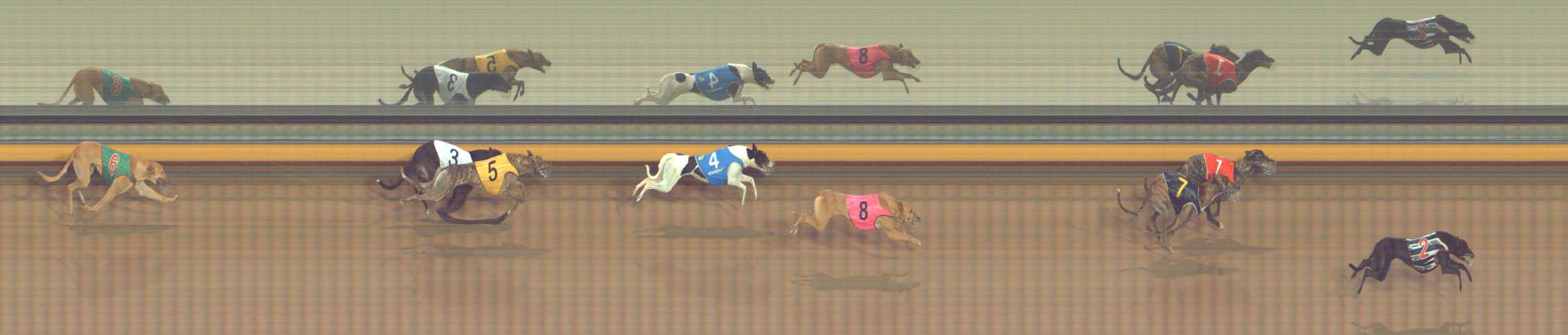 Photo finish for Bendigo Race 11