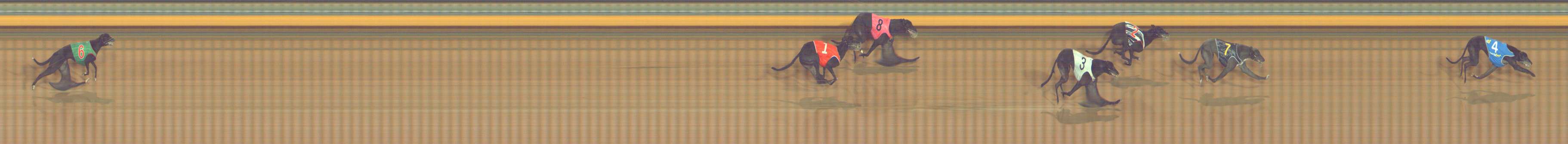 Photo finish for Bendigo Race 12